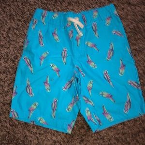 Arizona shorts, boys size 12
